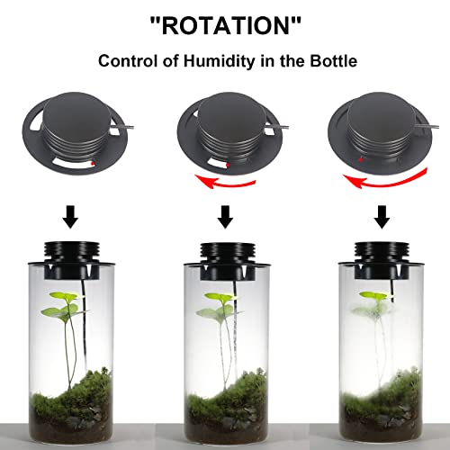 Desktop Glass Plant Terrarium with Grow Light for Carnivorous Plants & Moss | H7.8 x D4 in; Timer Auto On/Off; Miniature Gardening Display; Indoor Plant Decor; Office and Home Use; Gift for Plant Lovers.