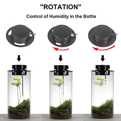 Desktop Glass Plant Terrarium with Grow Light for Carnivorous Plants & Moss | H7.8 x D4 in; Timer Auto On/Off; Miniature Gardening Display; Indoor Plant Decor; Office and Home Use; Gift for Plant Lovers.