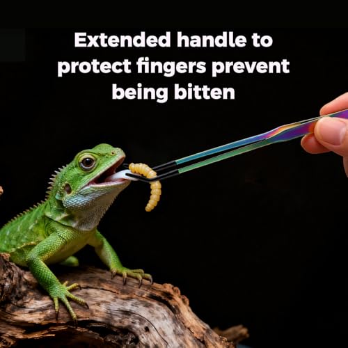 Stainless Steel Reptile Feeding Tweezers (with Non-Slip Rubber Tips) - 10.6-inch Straight & Curved Tweezers for Terrariums - Specialized Feeding Tools for Lizards & Bearded Dragons - 2-Piece Set
