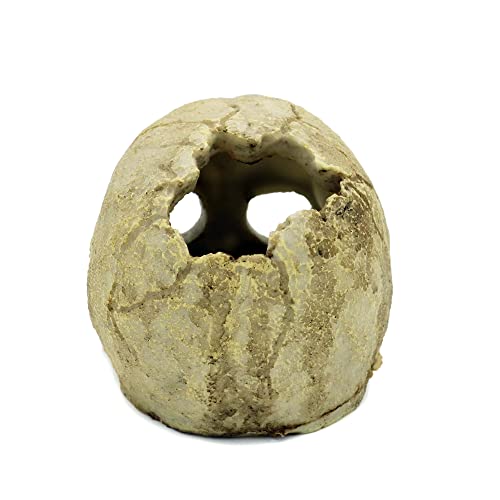 JIHAQUA Aquarium Resin Skull Ornament Snake Hide Decor, Habitat | Reptile Tank Accessories, Basking