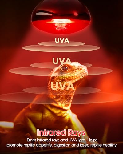 100W Reptile RED Heat Lamp Bulbs, Reptile & Amphibian Basking Spot Bulbs | UVA dimmable light for Chickens Coop Pets Brooder Bearded Dragon Lizard Tortoise Use, Pack of 2 - color: Red