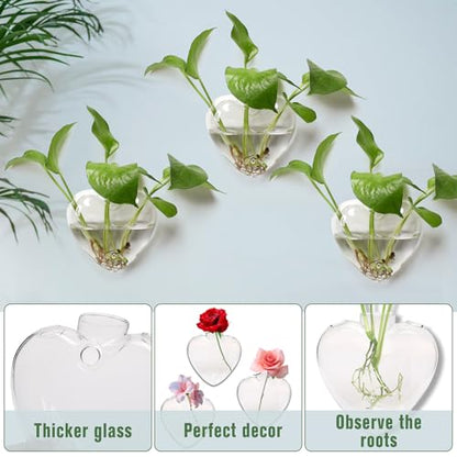 Wall Hanging Planter Propagation Station for Indoor Plants Glass Wall Plant Station for Flowers, Hydroponics PlantsBathroom, Home Office Living Room Decor - 3 Sets, Heart