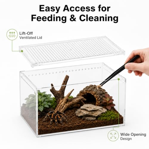 Large Clear Acrylic Jumping Spider Enclosure, 11.8 x 7.9 x 5.9 in | Suitable for tarantulas, spiders, mantises, beetles, and small reptiles, Wide opening design for feeding and cleaning