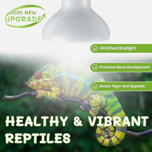 Reptile Heat Lamp Bulbs, Simulate Natural Sunlight Heat Light Bulb, 2 Pack 100W Amphibian Terrarium Basking Spot Lamp for Reptile, Bearded Dragon, Lizard, Turtle, Snake - color: Basking Bulb, size: Basking (2*100)