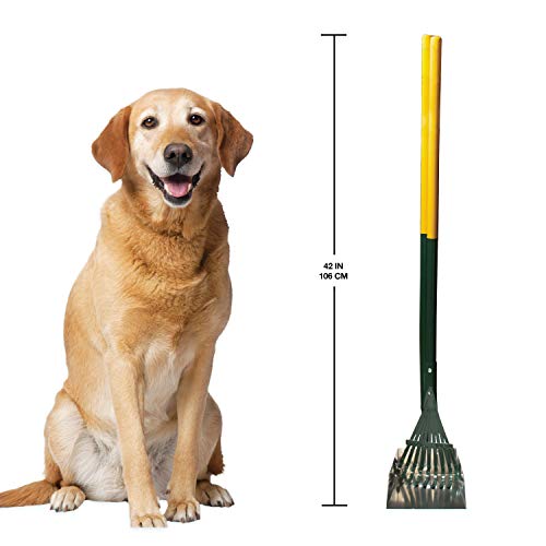 Four Paws Dog Rake & Scooper Set for Pet Waste Pick-Up, Small, 2 Count | Stainless steel long-handled dog waste tool, rake & pan design, easy pet waste pickup, 38" x 7" - size: Small, 7" x 7" x 38", style: Rake & Pan Set