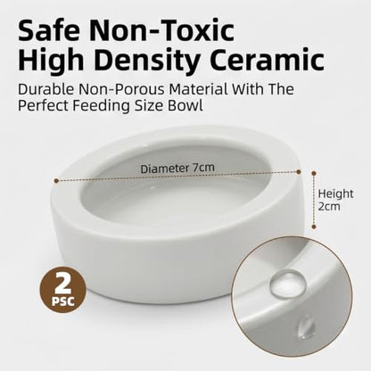 Reptile Food Dish Bowl, 2 Pack Lizard Gecko Ceramic Mealworms Bowls for Leopard Bearded Dragon Chameleon Hermit Crab Dubia Cricket Anti-Escape Superworm Feeder (Medium-2Pack) - size: Medium-2Pack