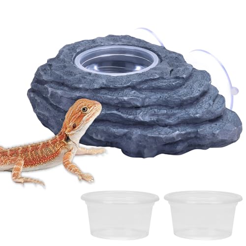 AIICIOO Crested Gecko Feeder Ledge Single Bowl Reptile Food Dish with 3PCS Reptile Feeding Cup Pet Water Dish for Bearded Dragon Snake Frog Tortoise Lizard Chameleon - size: Single Bowl Feeding Ledge