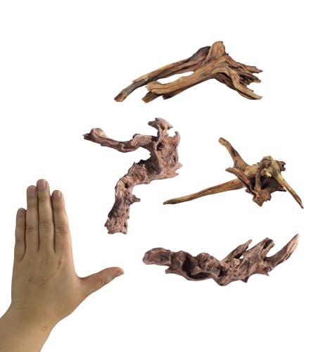 YZHZOM Small Natural Driftwood for Aquarium Styling Carefully Selected Natural Aquarium Decor Driftwood for Reptile Tank Reptile Tank Wood Decor (Driftwood 6-8inch 4pcs) - style: Driftwood 6-7inch 4pcs