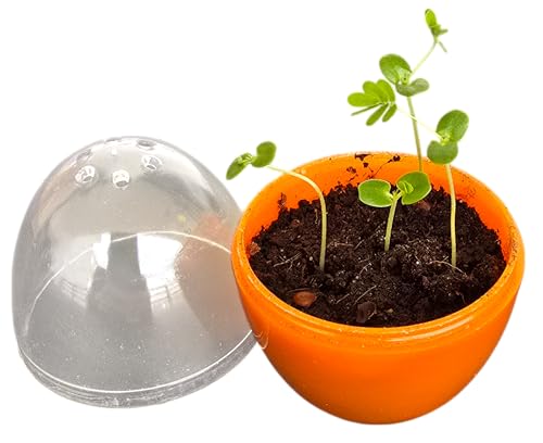 Toys By Nature Mini Terrarium Moving Plant Bundle, 100% USA Made Complete Starter Kit for Indoor Planting, Interactive Gardening Experience and Easy to Grow Seeds Just Add Water, 5-Pack - color: Moving Plant Bundle