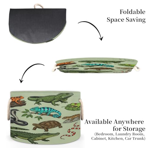Large Storage Baskets - Reptiles Amphibians Nursery Round Organizer Bin Box with Handles, Collapsible Laundry Hamper for Kids Toys, Blanket, Bedroom Living Room Home Decor, Gift Basket