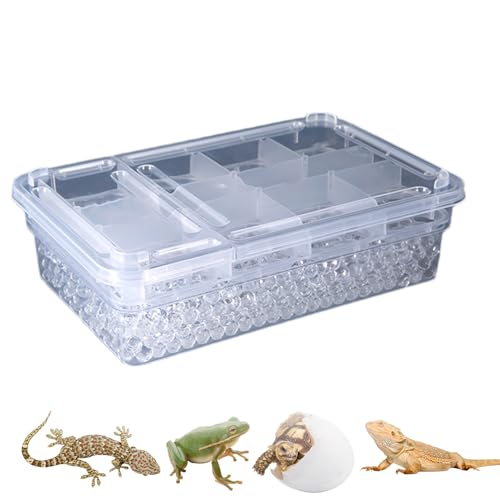 Reptile Breeding Hatching Box, PP Transparent Container with Clear Cover, Anti-Slip Incubator Box for Turtle, Gecko, Snake Egg Hatching