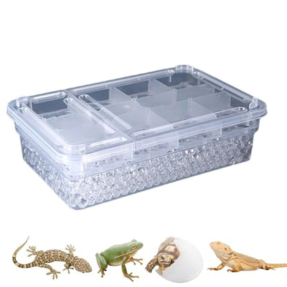 Reptile Breeding Hatching Box, PP Transparent Container with Clear Cover, Anti-Slip Incubator Box for Turtle, Gecko, Snake Egg Hatching