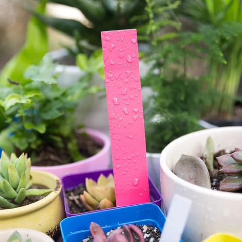 100 Pack Plant Labels- Waterproof Garden Markers, Durable Plant Tags for Seedlings,Vegetables，Indoor & Outdoor Gardening(Pink) - color: Pink