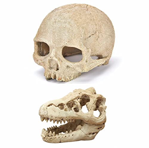 AWXZOM Desert Reptile Skull Fish Tank Decorations - Bearded Dragon Accessories, Snake Tank Decor (Human + Dinosaur)
