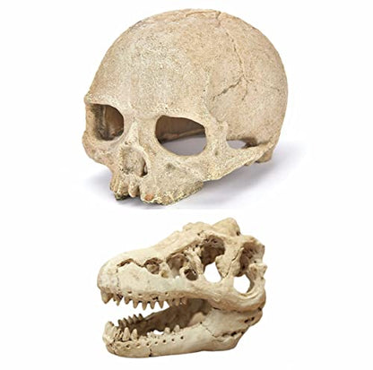 AWXZOM Desert Reptile Skull Fish Tank Decorations - Bearded Dragon Accessories, Snake Tank Decor (Human + Dinosaur)