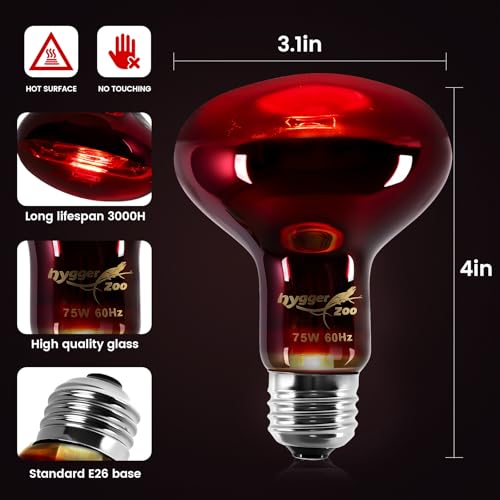 75W Infrared Heat Lamp Bulbs – 2-Pack Red IR Basking Light for Reptile & Amphibian, Silent Night-Time Heating, E26 Base, Bearded Dragon,Lizard,Turtle,Chicken - color: Red, size: 75W