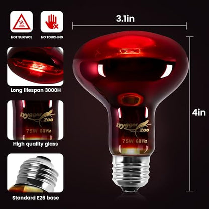 75W Infrared Heat Lamp Bulbs – 2-Pack Red IR Basking Light for Reptile & Amphibian, Silent Night-Time Heating, E26 Base, Bearded Dragon,Lizard,Turtle,Chicken - color: Red, size: 75W