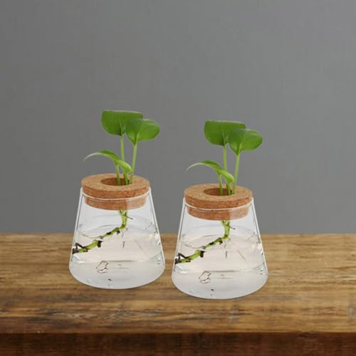 3pcs Glass Plant Propagation Station with Wood Lid, Desktop Hydroponic Vase for Flowers and Plants, Stylish Glass Terrarium for Office Desk or Corner, Ensures Clean Indoor
