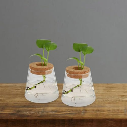 3pcs Glass Plant Propagation Station with Wood Lid, Desktop Hydroponic Vase for Flowers and Plants, Stylish Glass Terrarium for Office Desk or Corner, Ensures Clean Indoor