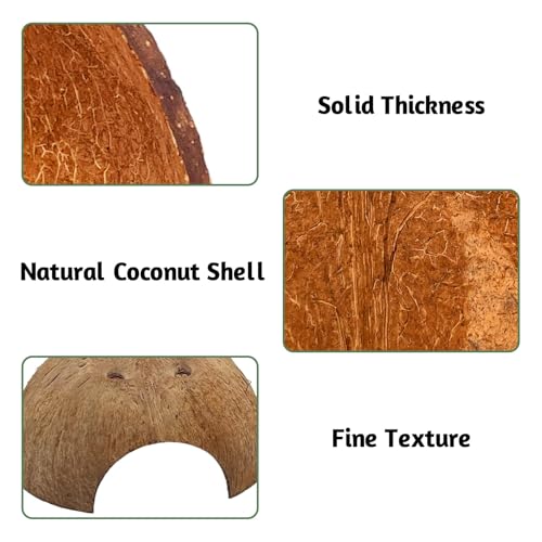 PINVNBY 6 PCS Natural Coconut Reptile Hideouts Lizard Coco Hut Hermit Crab Hut Aquarium Fish Hide Cave Spider Snail Climber Toys - size: 6 PCS Smooth Surface