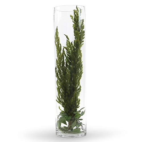 WGV Cylinder Vase, Width 6", Height 20", Clear Glass Container Terrarium Candle Holder for Wedding Centerpiece, Party Event, Home Office Decor, 1 Piece - size: 6"x20"H