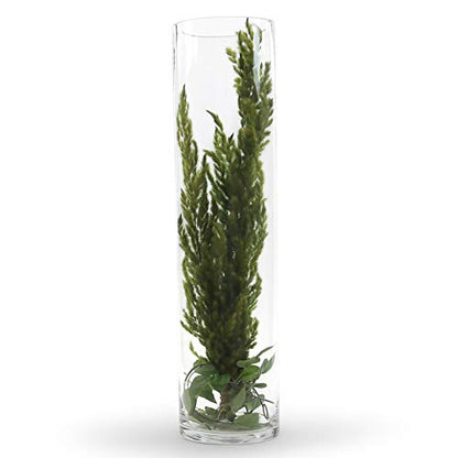 WGV Cylinder Vase, Width 6", Height 20", Clear Glass Container Terrarium Candle Holder for Wedding Centerpiece, Party Event, Home Office Decor, 1 Piece - size: 6"x20"H