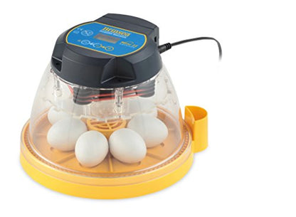 Brinsea Mini II Advance Incubator with Automatic Turner for Hatching 7 Eggs | 50+ years of expertise! Set-and-forget automatic incubator with digital countdown gives your eggs the best chance to hatch - size: 7 Eggs