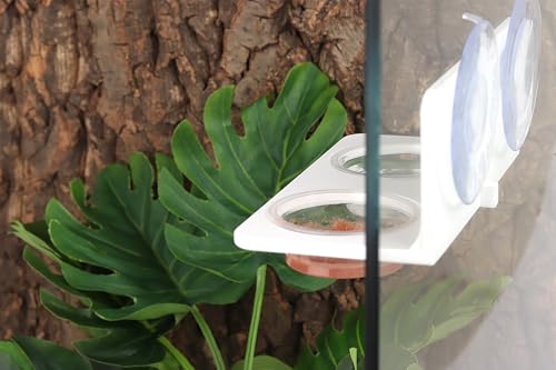 Crested Gecko Feeding Ledge with 10PCS Gecko Food Water Dish - color: White