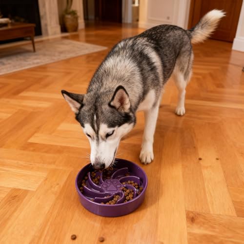 Ceramic Slow Feeder Dog Bowl, 3 Cup Dog Food or 25oz Water, Slow Eating Bowl for Middle Breed, Maze Puzzle Feeder for Fast Eaters, Anti-Choking Stop Bloat, Non-Slip BPA Free (Purple) - color: Purple