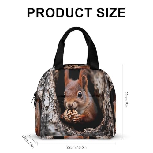 Squirrel Lunch Bag for Women Men | Insulated Lunch Box Leakproof Food Meal Containers Reusable Foldable 6L Capacity Lunch Tote Bags for Work Picnic Travel - color: style-11