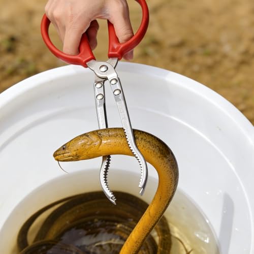 uxcell Crabbing Tongs, 15" Metal Serrated Extra Long Loach Tong Beach Reptile Catching Clip Garbage Clip with Straight and Bent Heads for Lobsters Loach Other Reptile, Red - size: 15"