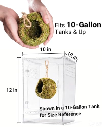 Handmade Crested Gecko Tank Accessories – Bearded Dragon Accessories, Reptile Hideout, Hermit Crab and Small Reptile Habitat 4.7×3.5×9in