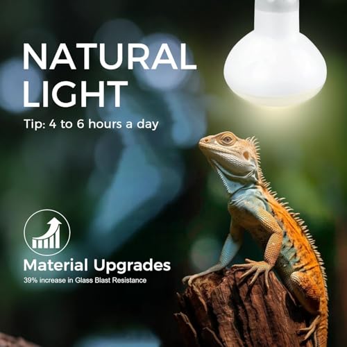 Infrared Reptile Heat Bulb Lamp 75W, 2-in-1 Day & Night Combo, Infrared Heat Lamp & UVA Sunlight Heating Lamp for Reptile Terrariums - style: Day & Night Heat Lamp 75W