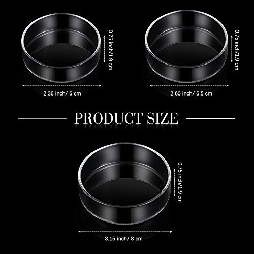 Patelai 3 Pcs Shrimp Feeding Dish, Clear Glass Aquarium Feeder Bowl for Shrimp Tank, Fish Tank Food Tray with 60mm 65mm 80mm Sizes, Freshwater Aquarium Accessories