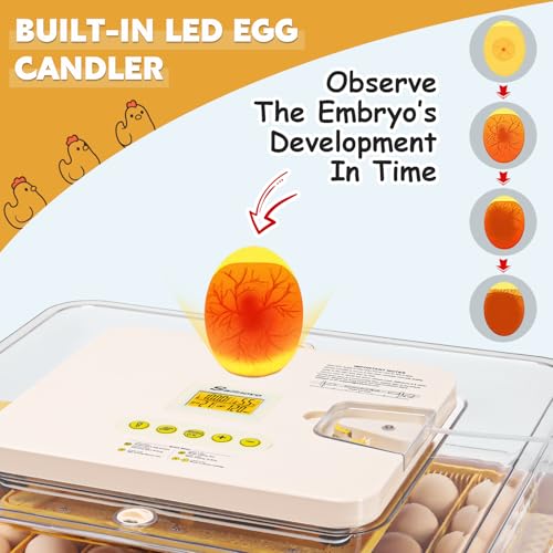 56 Egg Incubator for Hatching Eggs with Automatic Egg Turning White | Auto Humidification, Stable Temperature Control, Built-in Candler, View Window, Alert System for Lab School Farm - color: White