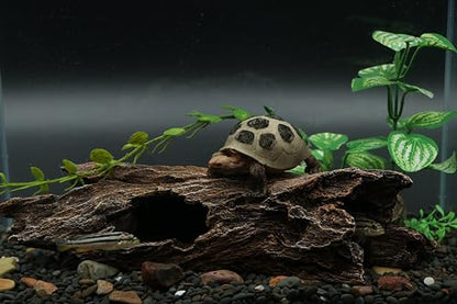 AQUA KT Reptile Hideout Tree Trunk Hollow Log Cork Bark for Lizard Bearded Dragon Snake Chameleon Hermit Crab Leopard Gecko Terrarium Habitat Decoration