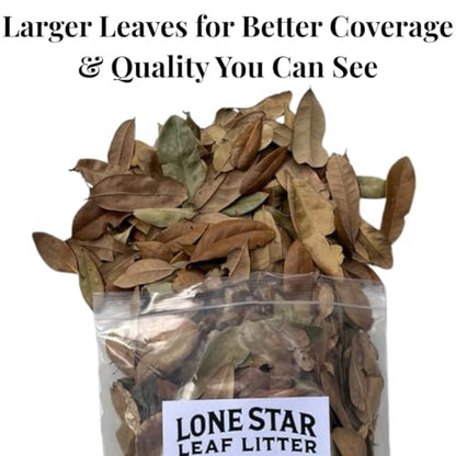 Texas Live Oak Leaves in Resealable Bag (1 Gallon) - Bioactive Substrate for Reptiles, Isopods, Terrariums & Vivariums - size: 1 gallon - resealable