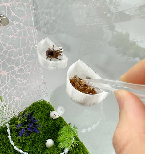 2 PCS Jumping Spider Feeding Dish, Tiny Food Dishes Water Dish with Tweezers，Eyedropper and Cleaning Brush for Jumping Spider, Tarantula and Other Small Pets, Half Round