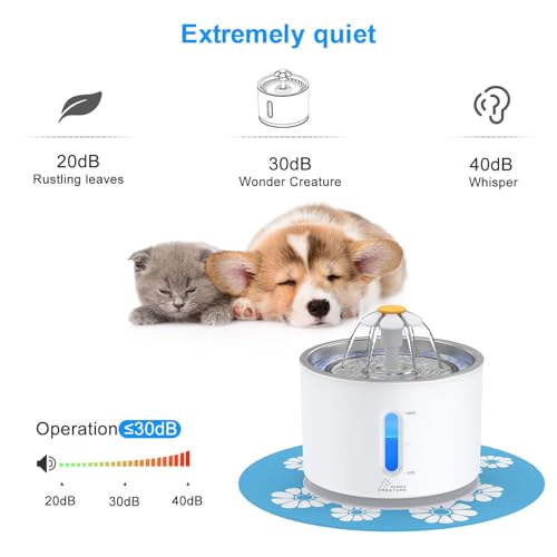 Wonder Creature Cat Water Fountain Stainless Steel Lid 81oz/2.4L-3 Filters | Pet Fountain with 3 Carbon Filters, 1 Mat, Quiet pump, LED Water Level Window, BPA-Free Stainless Steel Lid