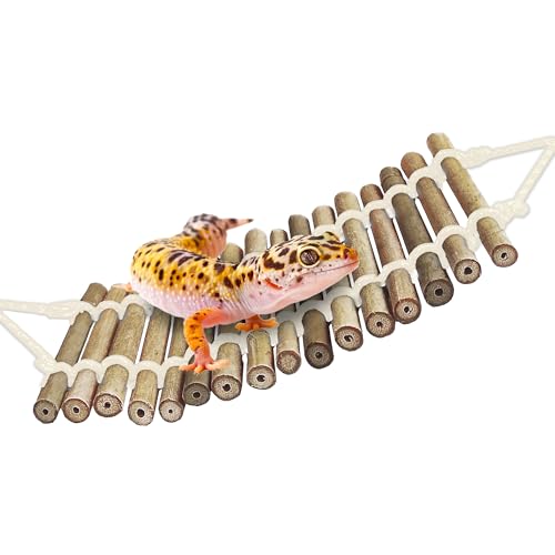 SunGrow Bamboo Gecko Reptile Climbing Bridge and Lizard Lounge, 18” Swinging Hideout Bridge, Helps Leopard Geckos with Thermoregulation, Increases Habitat Space, Can Be Submerged in Water