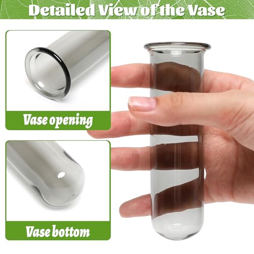 Glass Plant Propagation Station with 5 Test Tubes Colorful Planter Vase | Birthday Gifts for Women in Wooden Stand - color: Gray