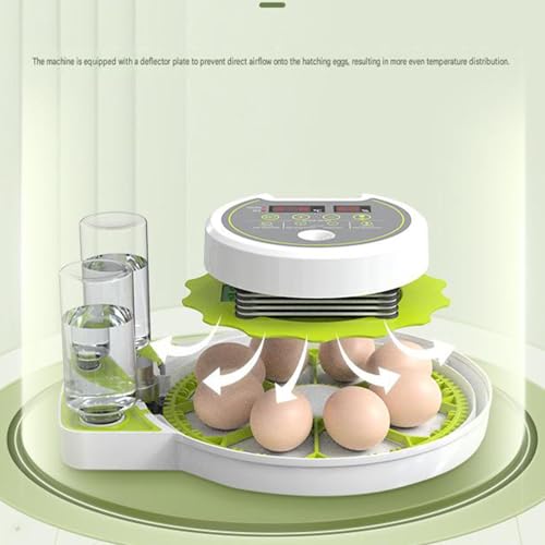 JUJOJB 12-Egg Incubator for Hatching Eggs, Auto Turner, Temp Control | Humidity and temperature control, egg candler, 360-degree window. For chicken, duck, quail, turkey eggs. Adjustable dividers. - color: Green