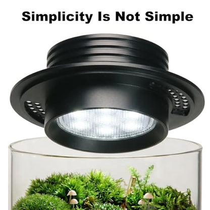 Desktop Glass Plant Terrarium with Grow Light for Carnivorous Plants & Moss | H7.8 x D4 in; Timer Auto On/Off; Miniature Gardening Display; Indoor Plant Decor; Office and Home Use; Gift for Plant Lovers.