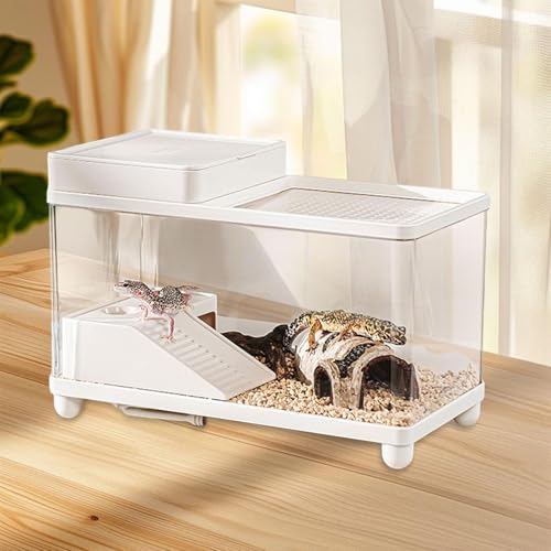 Aquarium Accessories for S, Transparent Multi-Function Drainage System for Terrarium, Bearded Dragon, Terrapin, Small Reptile, White