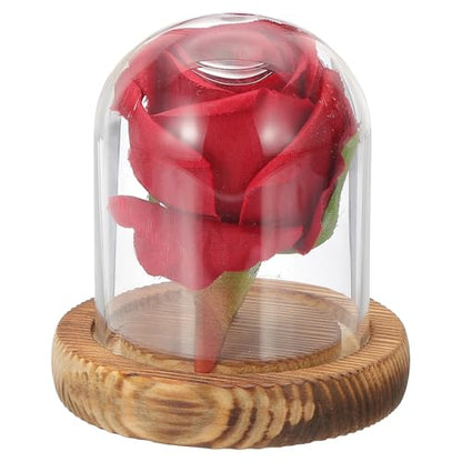 uxcell Glass Cloche Display Dome, 3.1" x 2.5" Glass Dome Display Case, Wood - size: 3.1" x 2.5"