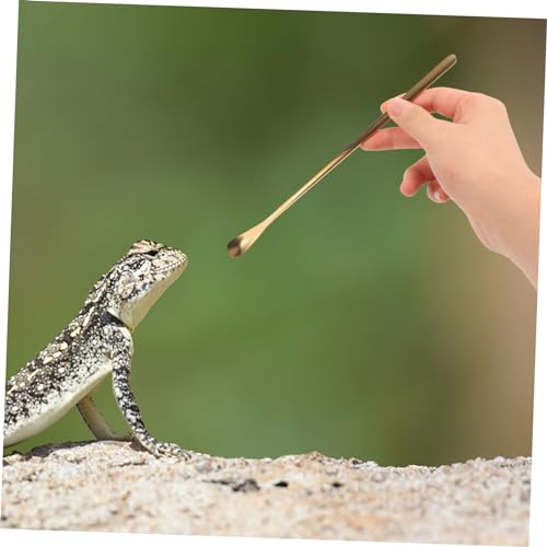 Levemolo 2Pcs Stainless Steel Pet Food Spoon for Reptiles Long Handle Feeding Tool for Lizards Turtles Small Animals Durable and Easy to Use Compact Design
