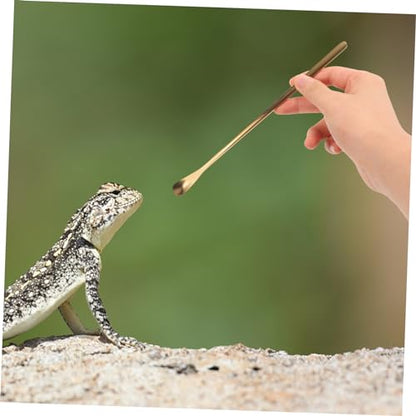 Levemolo 2Pcs Stainless Steel Pet Food Spoon for Reptiles Long Handle Feeding Tool for Lizards Turtles Small Animals Durable and Easy to Use Compact Design