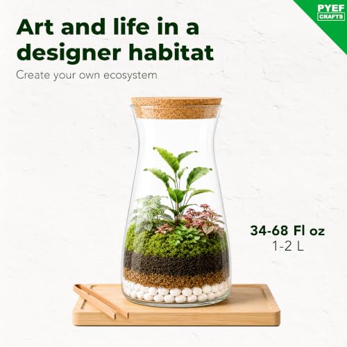 Terrarium Kit, Succulents & Indoor Plants Set DIY | Starter Pack for Any Plant – Build Your Own Ecosystem – Supplies for 64 fl oz Jar or Pot – (Jar & Plants Not Included)