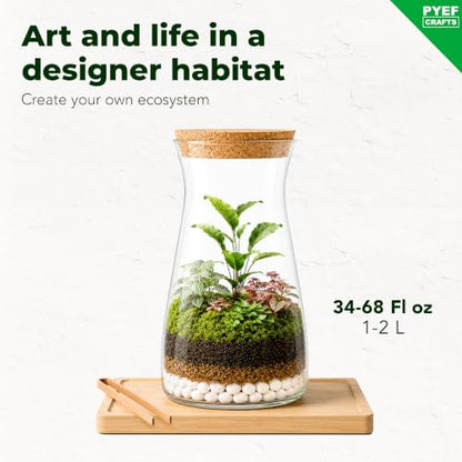 Terrarium Kit, Succulents & Indoor Plants Set DIY | Starter Pack for Any Plant – Build Your Own Ecosystem – Supplies for 64 fl oz Jar or Pot – (Jar & Plants Not Included)