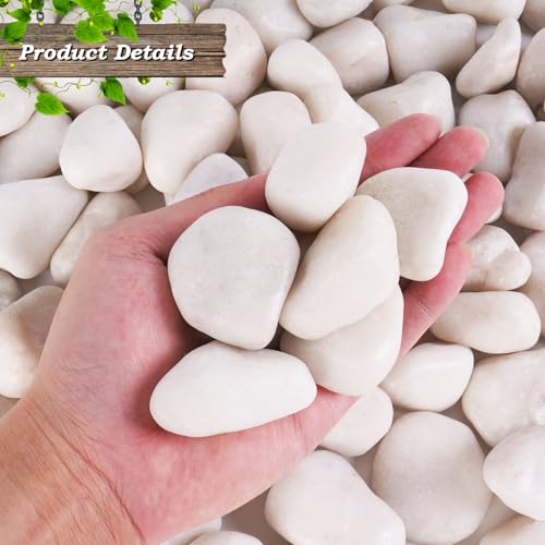 5 lbs White River Rocks, 1-2 inch White Landscaping Rocks,Suitable for Indoor and Outdoor Landscape Design, Gardens, Courtyards, Fish Tank Aquariums, Vases, Trail Decoration and DIY Decoration - color: White, size: 1-2 Inch 5 LB